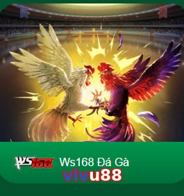 vivu88